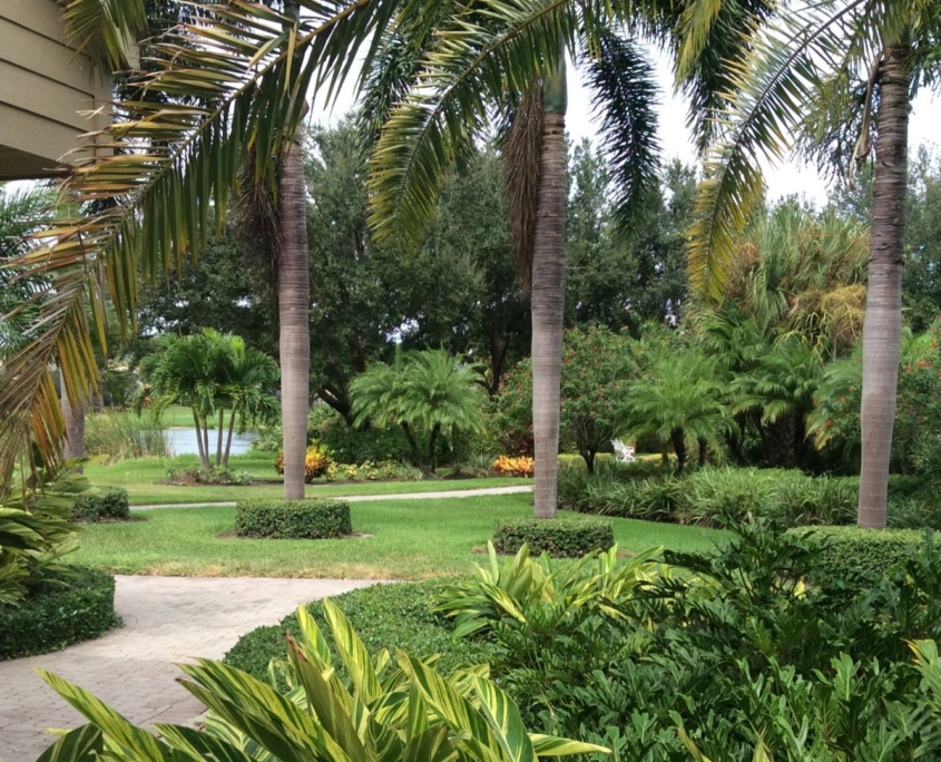 Pines, palms and gardens of the chapel