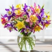 Alter Flowers Bouquet of yellow, pink and purple flowers in clear glass vase